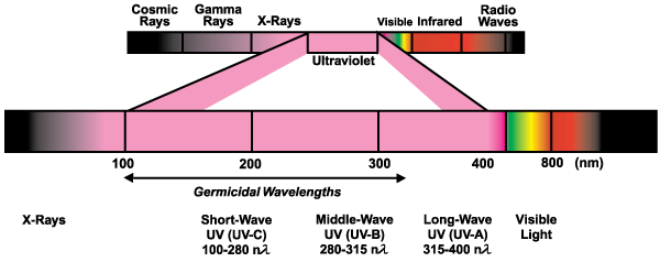 Ultraviolet Spectrum